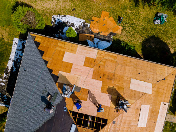 Best Roof Restoration Services  in Hamilton City, CA