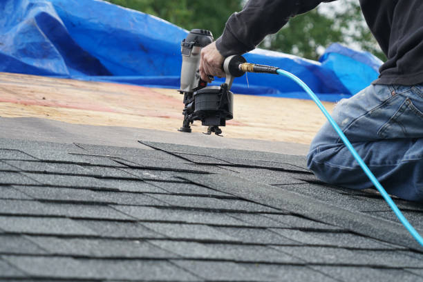 Best Roof Gutter Cleaning  in Hamilton City, CA